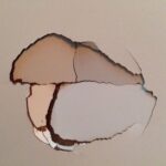 Reparar un agujero en una puerta: ¿cómo hacerlo?